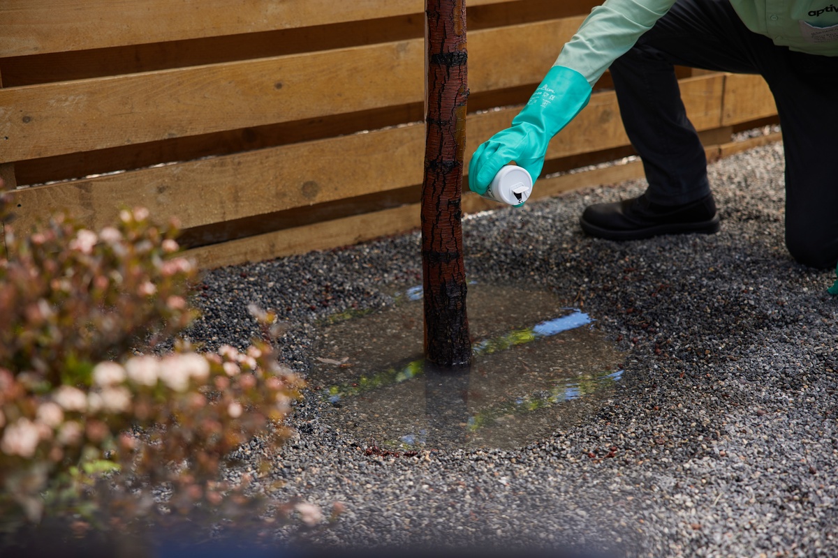 Service pro treating standing water in customer's yard
